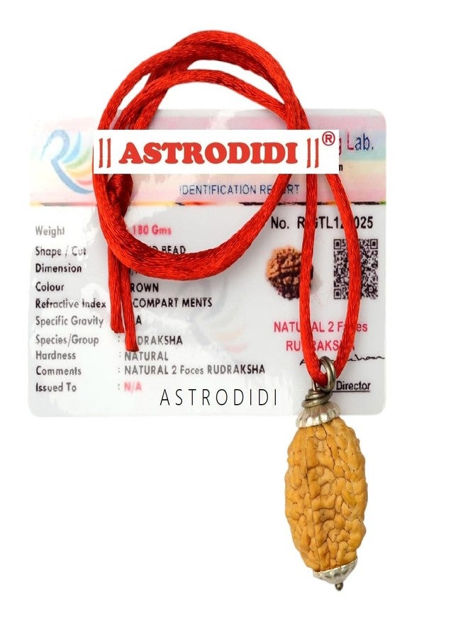 ASTRODIDI Certified and Original 2 Mukhi Rudraksha Pendant with Lab Report for Daily Wearing for Men Women Boys and Girls | Natural Two Face Rudraksh for Meditation and Prayer, Protection, Chakra Balancing, Spiritual Growth - Image 1