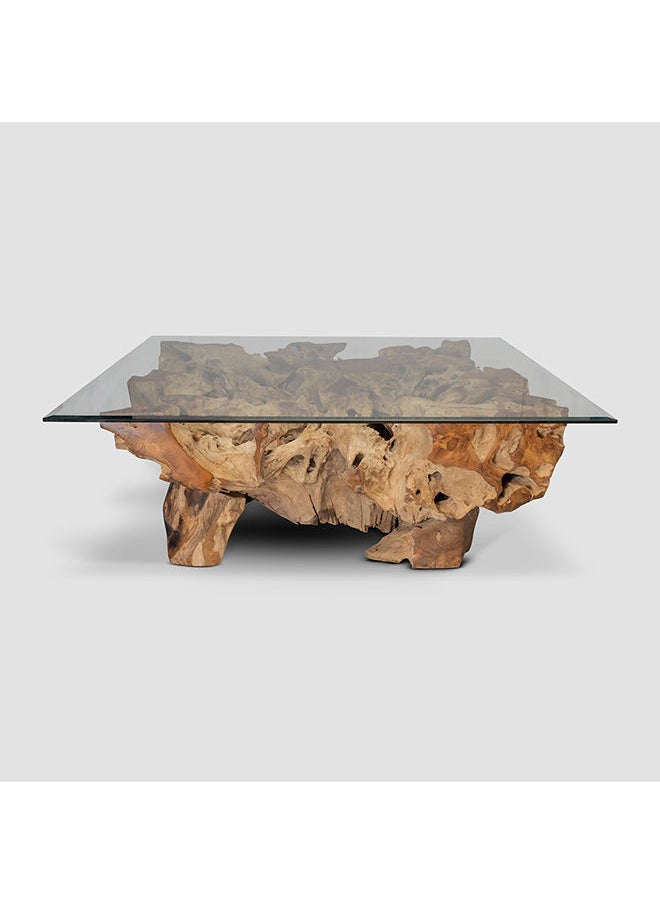 AL HUZAIFA FURNITURE Garry Coffee Table In Teak Root Wood In Natural Finish  - Image 1