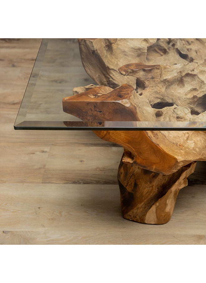 AL HUZAIFA FURNITURE Garry Coffee Table In Teak Root Wood In Natural Finish  - Image 5