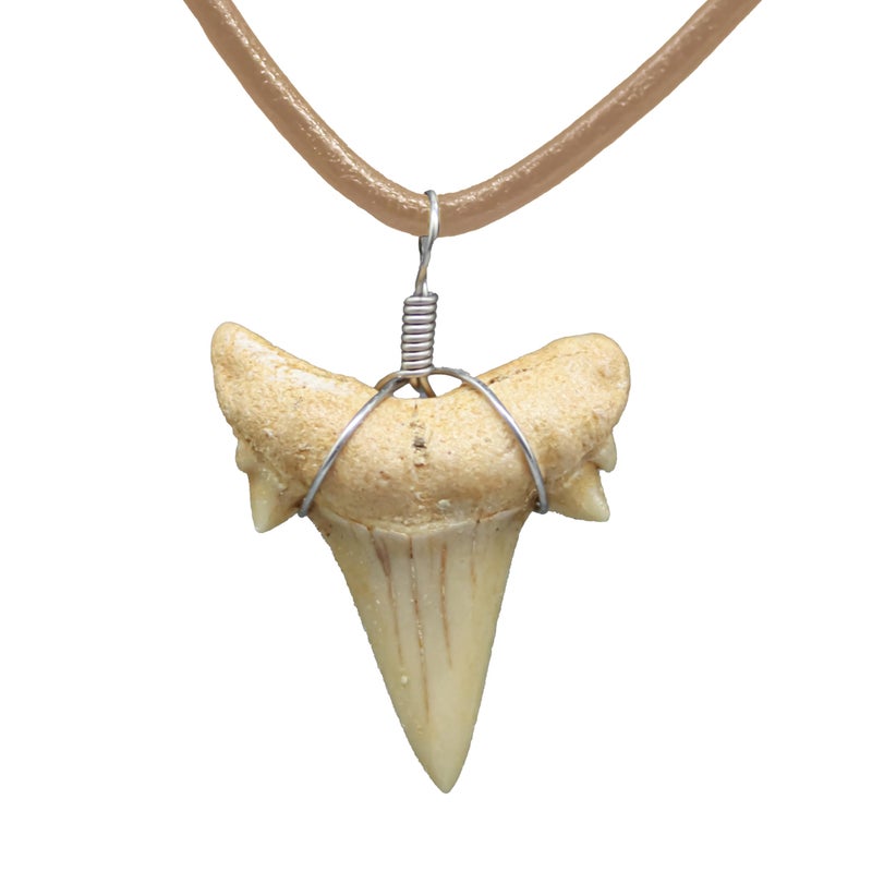 FROG SAC Natural Shark Tooth Necklace for Men, Genuine Fossil Shark Teeth, Cool Sharktooth Beach Necklaces for Women, Beachy Surfer Choker Jewelry - Image 1