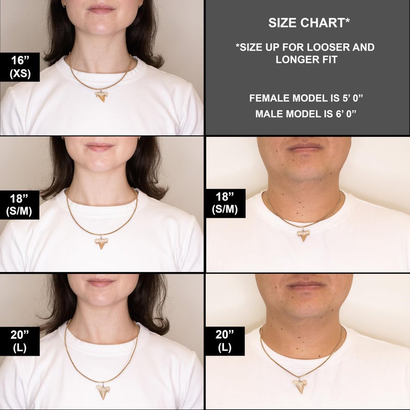 FROG SAC Natural Shark Tooth Necklace for Men, Genuine Fossil Shark Teeth, Cool Sharktooth Beach Necklaces for Women, Beachy Surfer Choker Jewelry - Image 3