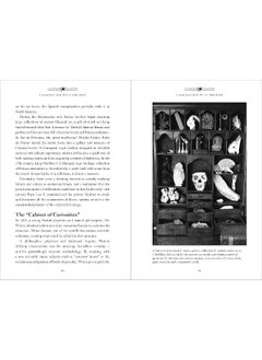 Archaeology: Discovering the World's Secrets  - Image 4