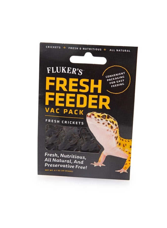 فلكرز عبوة تغذية الصراصير الطازجة من Fluker's، طبيعية بالكامل وخالية من المواد الحافظة، رائعة للزواحف أو الطيور أو الحيوانات الصغيرة التي تتغذى على الحشرات، 0.7 أونصة - Image 1