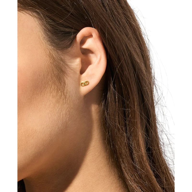 Michael Kors Mkc1754Cz931 Premium Earrings