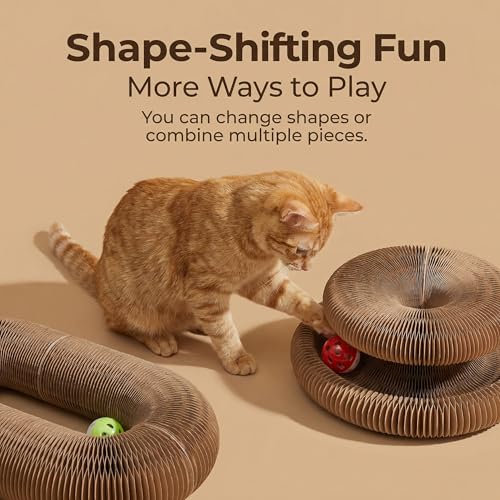 Dosanlues Magic Organ Cat Scratcher Board with 2 Bell Ball Cat Ball Adventure The Ultimate Interactive Mental Physical Exercise for Indoor Cats Toy - Image 3