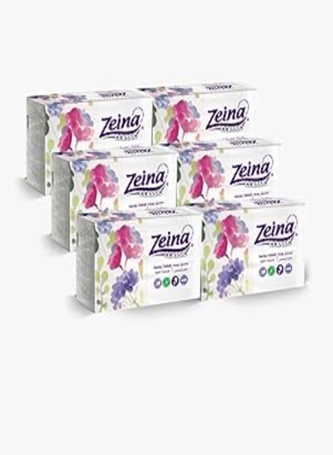 Zeina Zeina 6 bags x 400 tissue