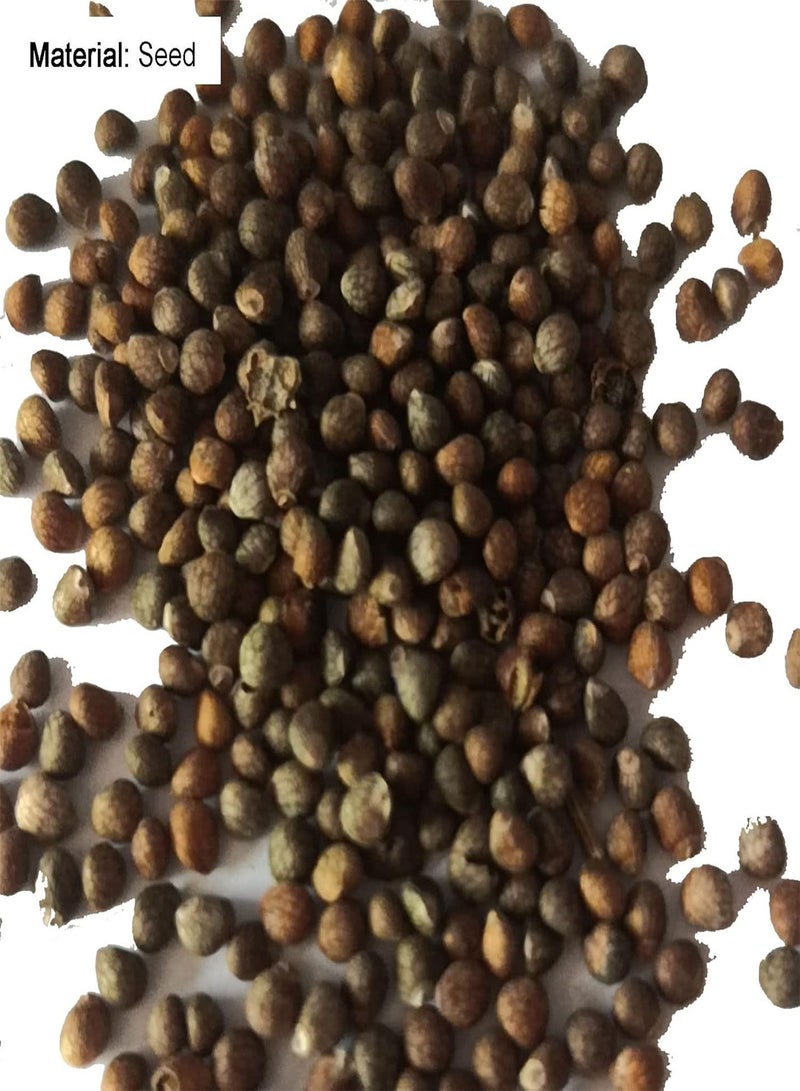 GGOOT 100Pcs/Bag Christia Obcordata Seeds Vibrant Water Needed Special Mountain Valley Garden Seeds - Image 3
