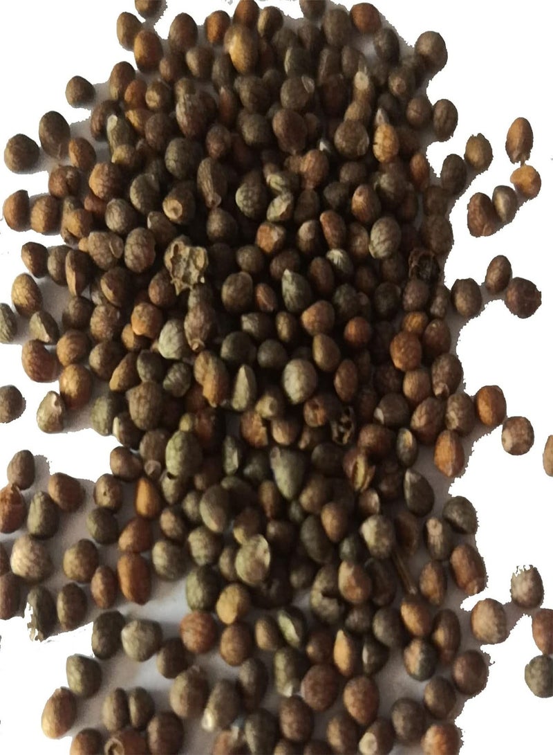 GGOOT 100Pcs/Bag Christia Obcordata Seeds Vibrant Water Needed Special Mountain Valley Garden Seeds - Image 4
