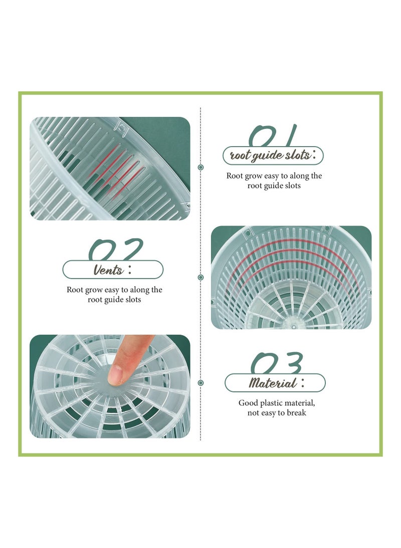 وعاء أوركيد شفاف مع فتحات مجموعة من قطعة واحدة وعاء نباتات بلاستيكي شفاف قابل للتنفس للاستخدام الداخلي والخارجي (أبيض، 5.5 بوصة) - Image 3