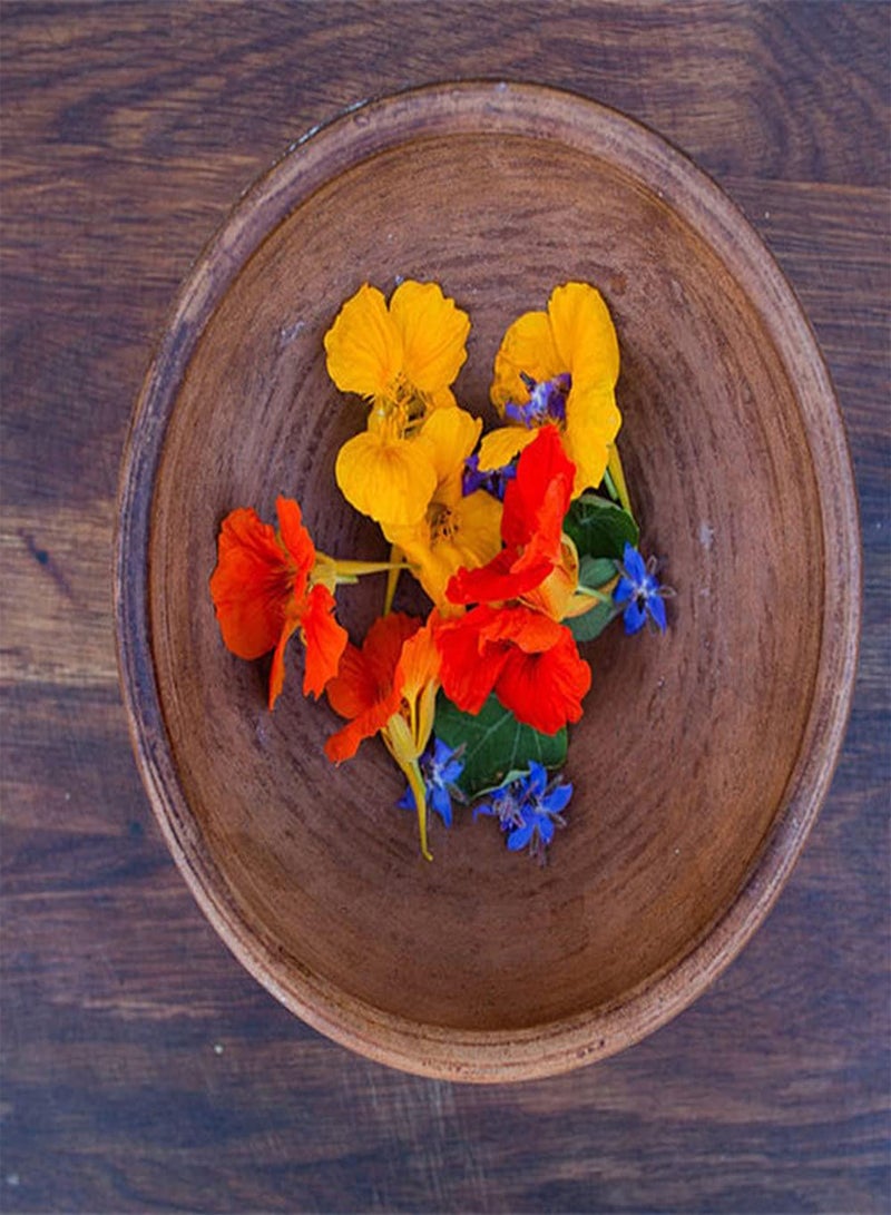 GGOOT 50Pcs Mix Nasturtium Seeds Perennial Trailing Flowers for Outdoor Garden Planting Colorful Flower Add Color to The Garden - Image 2