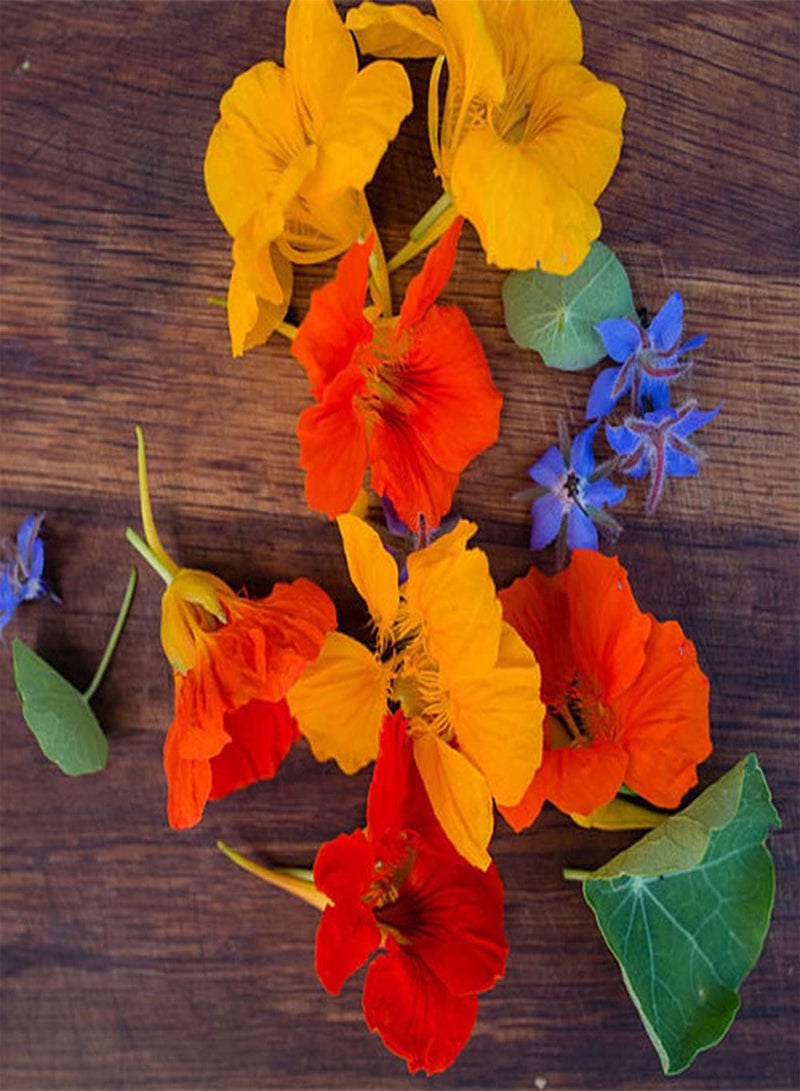 GGOOT 50Pcs Mix Nasturtium Seeds Perennial Trailing Flowers for Outdoor Garden Planting Colorful Flower Add Color to The Garden - Image 1