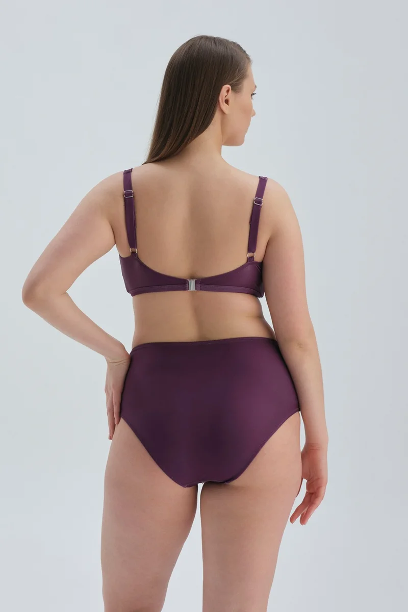 داجي Claret Red Slimming High Waist Bikini Bottom