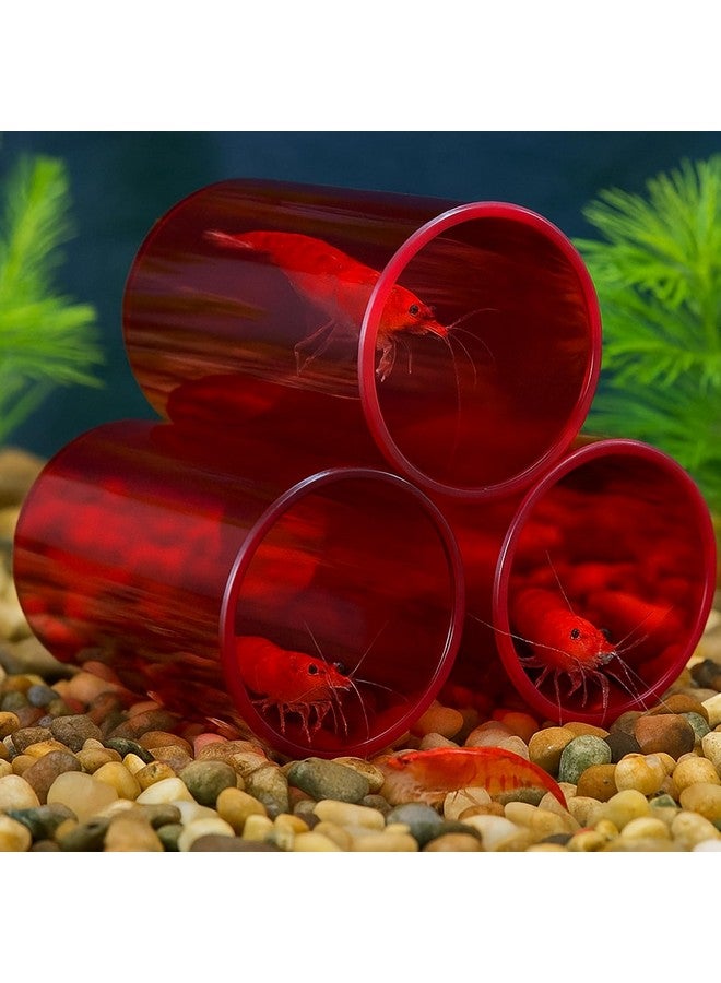 Venusaqua Venus Aqua Shrimp Cave Shelter Tube for Fish Tank (Large, Dia 8cm) | Acrylic Breeding Pipe for Shrimps & Small Fish | Aquarium Decor Hiding Spot | 3pcs Set | Color May Vary - Image 3