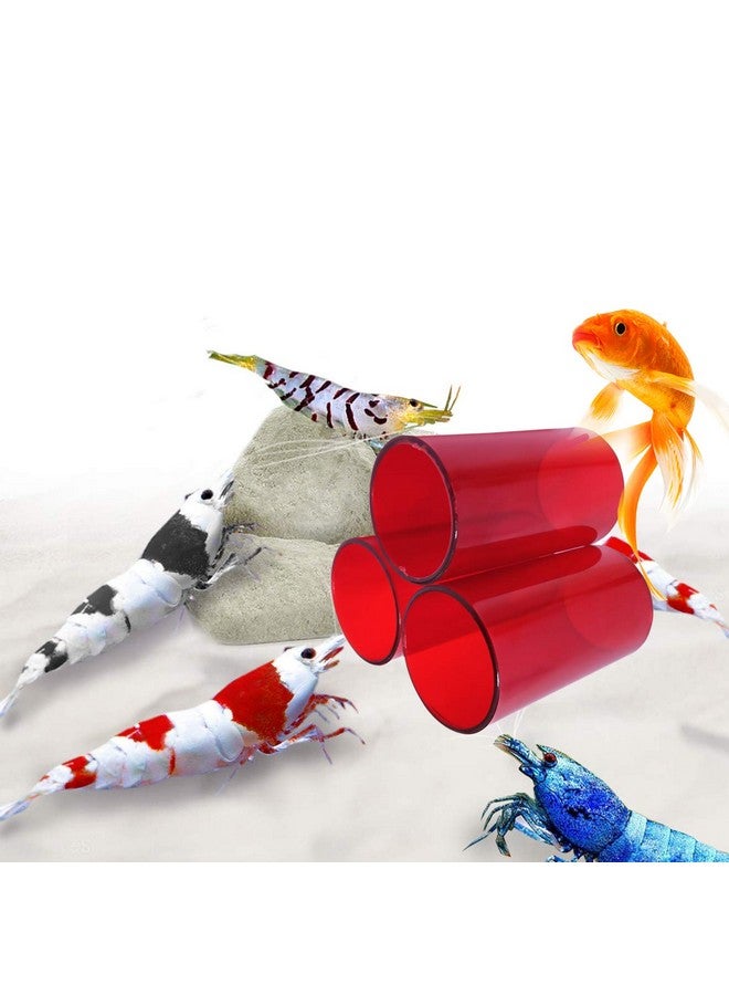Venusaqua Venus Aqua Shrimp Cave Shelter Tube for Fish Tank (Large, Dia 8cm) | Acrylic Breeding Pipe for Shrimps & Small Fish | Aquarium Decor Hiding Spot | 3pcs Set | Color May Vary - Image 5