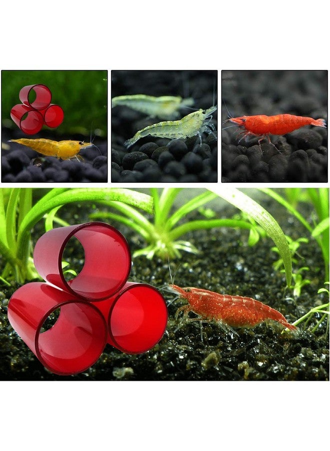 Venusaqua Venus Aqua Shrimp Cave Shelter Tube for Fish Tank (Large, Dia 8cm) | Acrylic Breeding Pipe for Shrimps & Small Fish | Aquarium Decor Hiding Spot | 3pcs Set | Color May Vary - Image 4