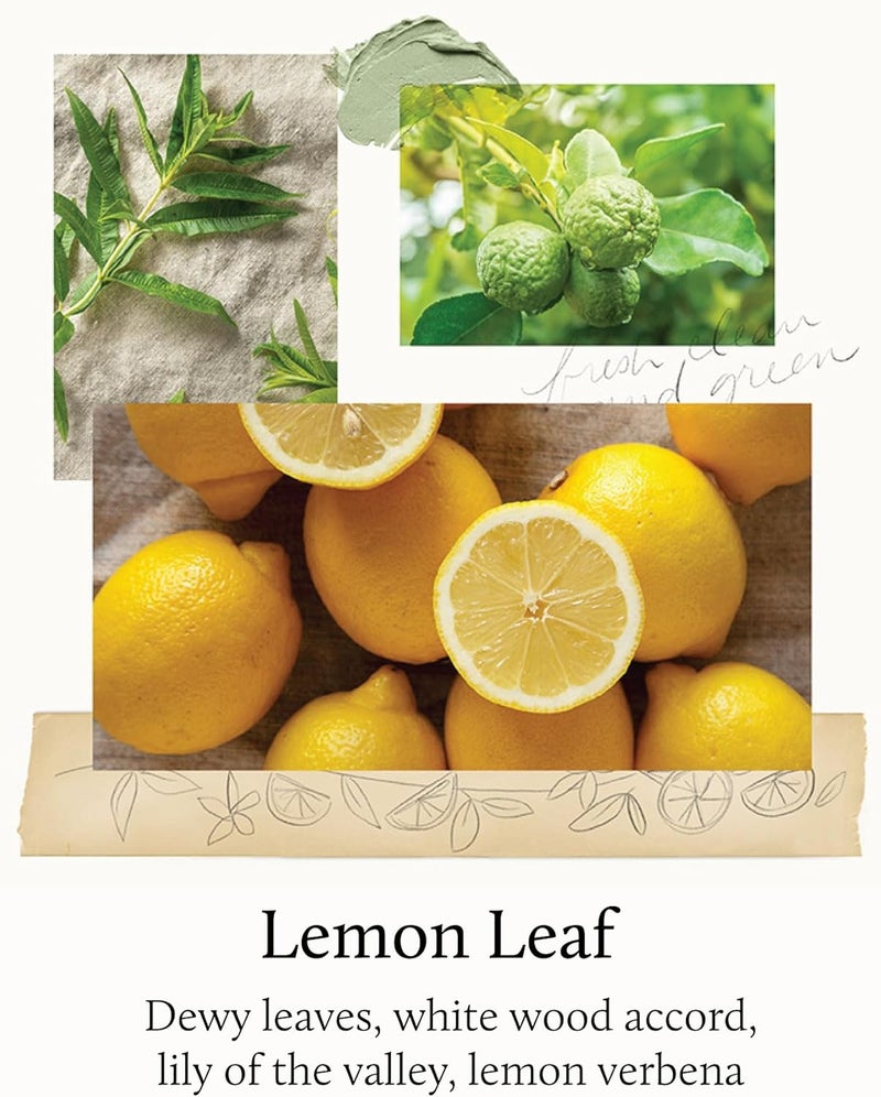 Thymes Lemon Leaf Scented Candle  Candles for Home Scented with Dewy Leaves Crisp White Wood Accord Lily of The Valley Lemon Verbena Bergamot Oil  Geranium Blooms  Luxury Candles 65 oz - Image 3