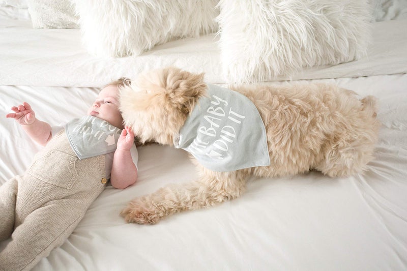 Pearhead Pet and Baby Matching Apparel Set - Funny Cotton Feeding Bib and Dog Bandana | Infants 6-36 Months + Collar Accessory for Small to Medium Dogs | Cute Idea - Image 5