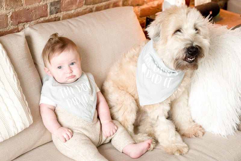 Pearhead Pet and Baby Matching Apparel Set - Funny Cotton Feeding Bib and Dog Bandana | Infants 6-36 Months + Collar Accessory for Small to Medium Dogs | Cute Idea - Image 3
