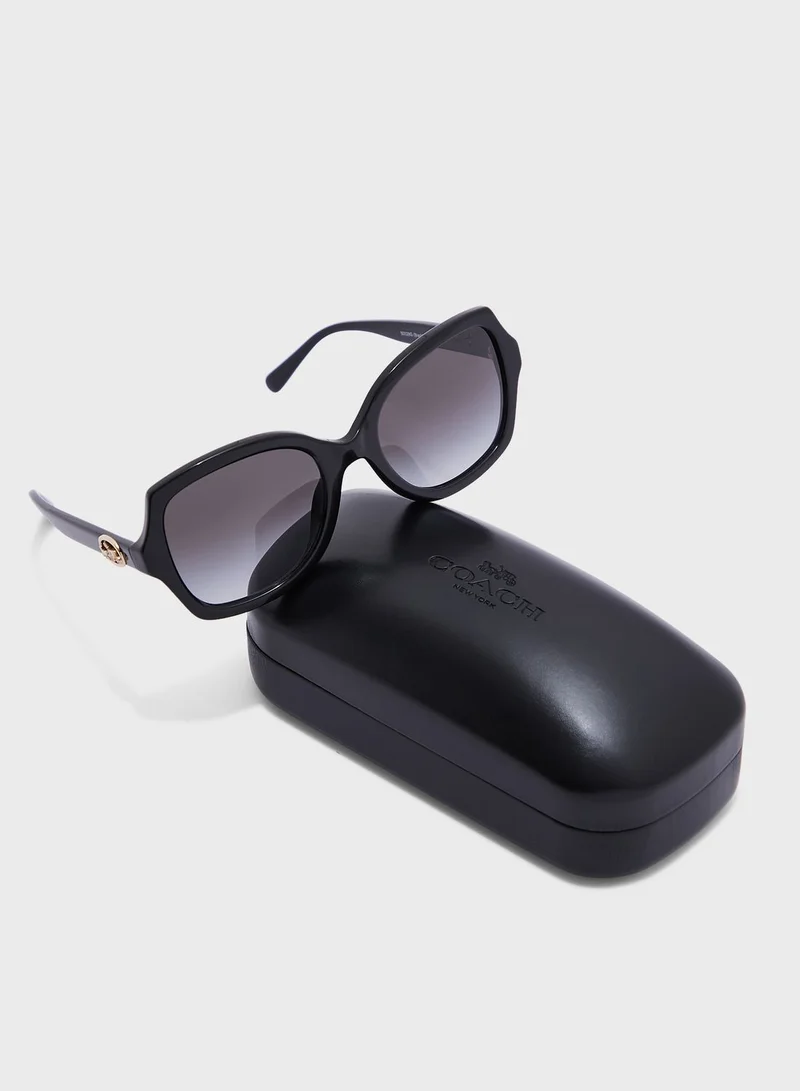 COACH 0Hc8295 Oversized Sunglasses