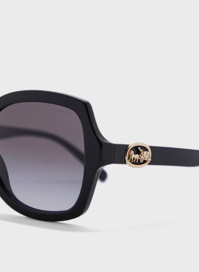 COACH 0Hc8295 Oversized Sunglasses