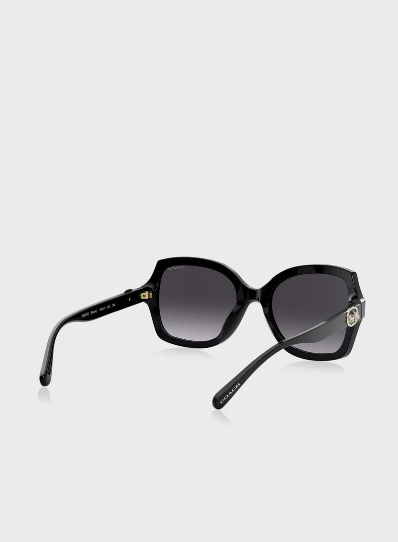 COACH 0Hc8295 Oversized Sunglasses