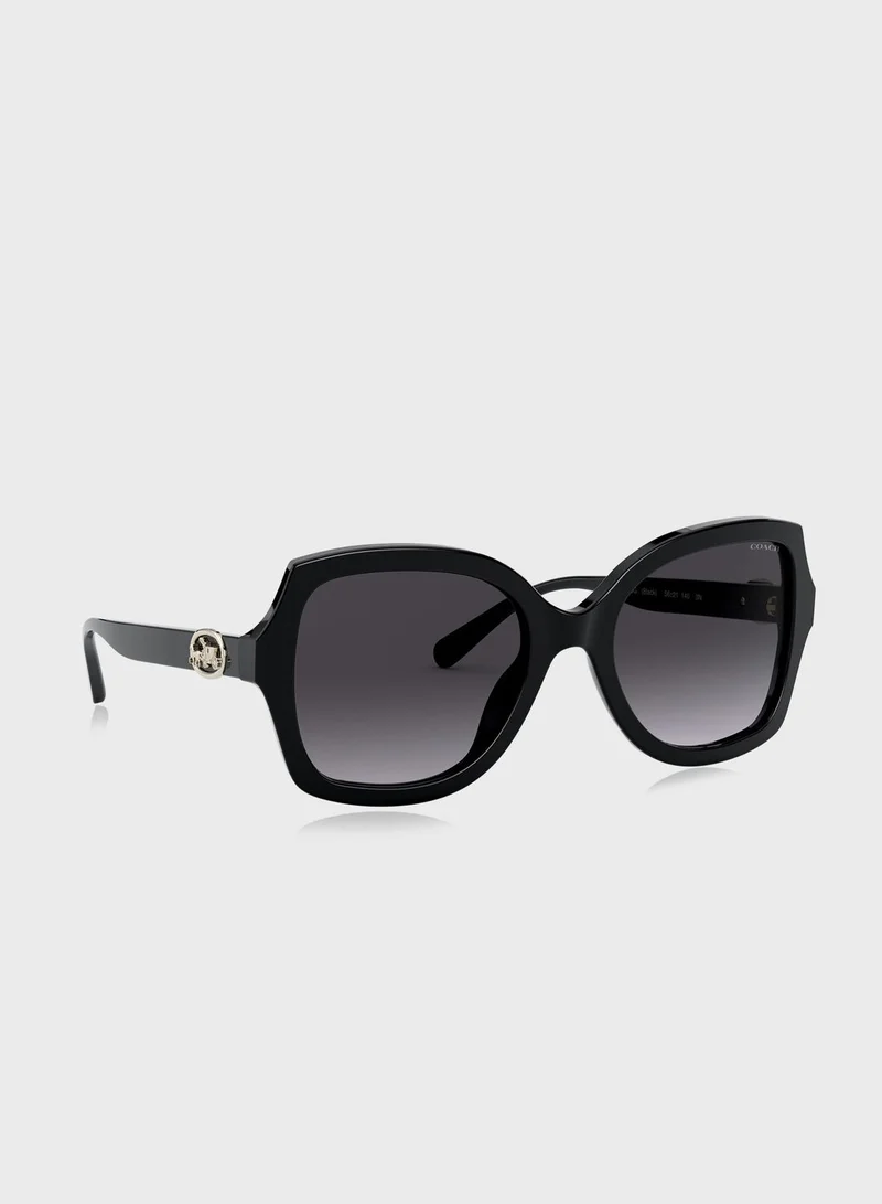 COACH 0Hc8295 Oversized Sunglasses