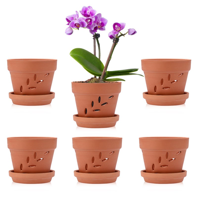 JUXYES 6 Pack Small Terracotta Orchid Pots with Holes and Saucers, Clay Orchid Planter Pots for Repotting, Plant Flower Pots for Orchid Indoor and Outdoor Promotes Air Circulation, 4 Inches - Image 1