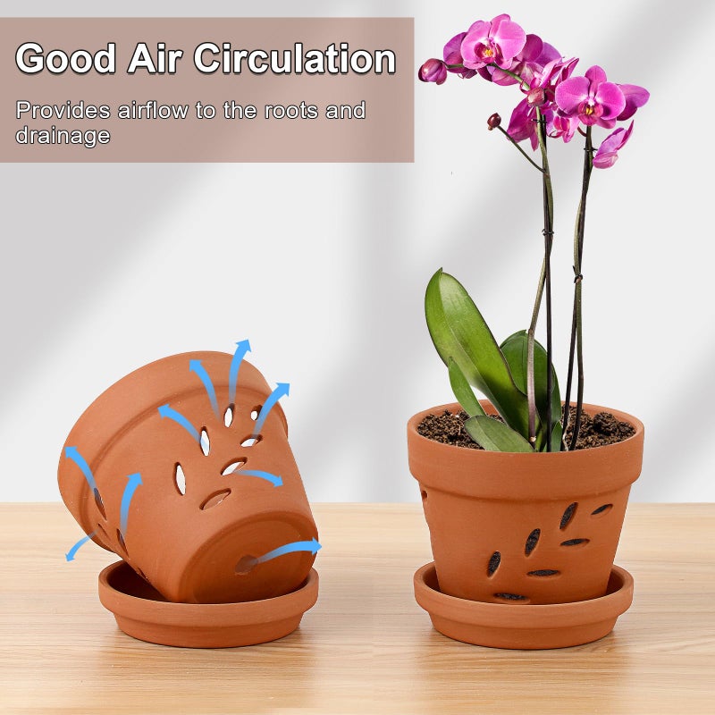 JUXYES 6 Pack Small Terracotta Orchid Pots with Holes and Saucers, Clay Orchid Planter Pots for Repotting, Plant Flower Pots for Orchid Indoor and Outdoor Promotes Air Circulation, 4 Inches - Image 4