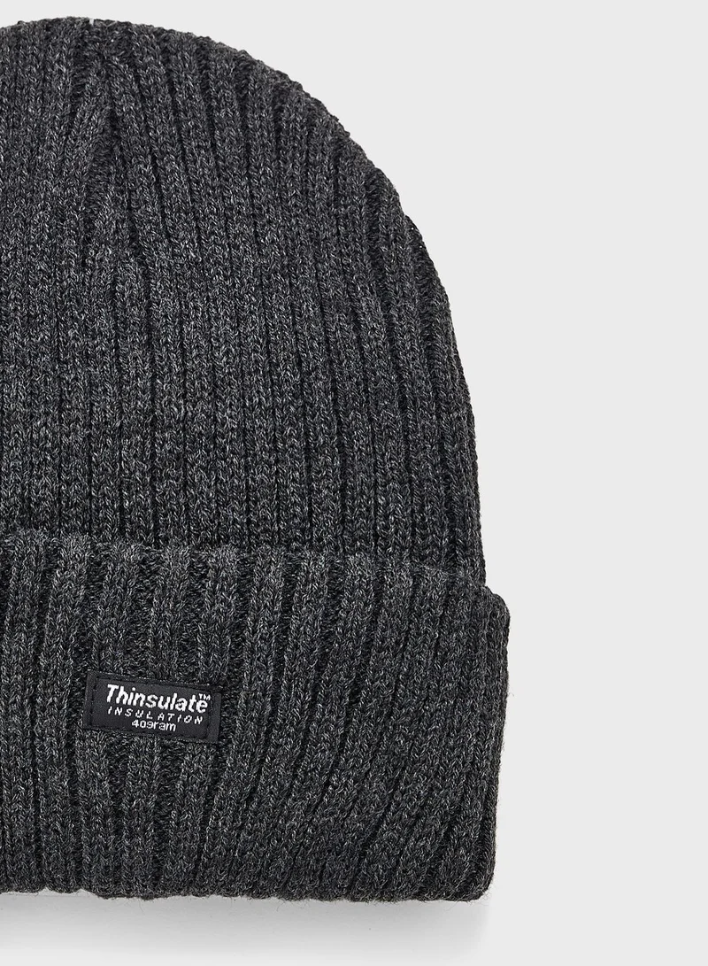 Robert Wood Ribbed Thinsulate Lined Winter Beanie