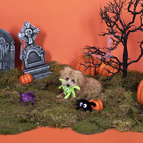 Fringe Studio, Creepy CRAWLY Spiders, Small Plush Dog Toy 3PCS Set, PetShop Collection (289479) - Image 3