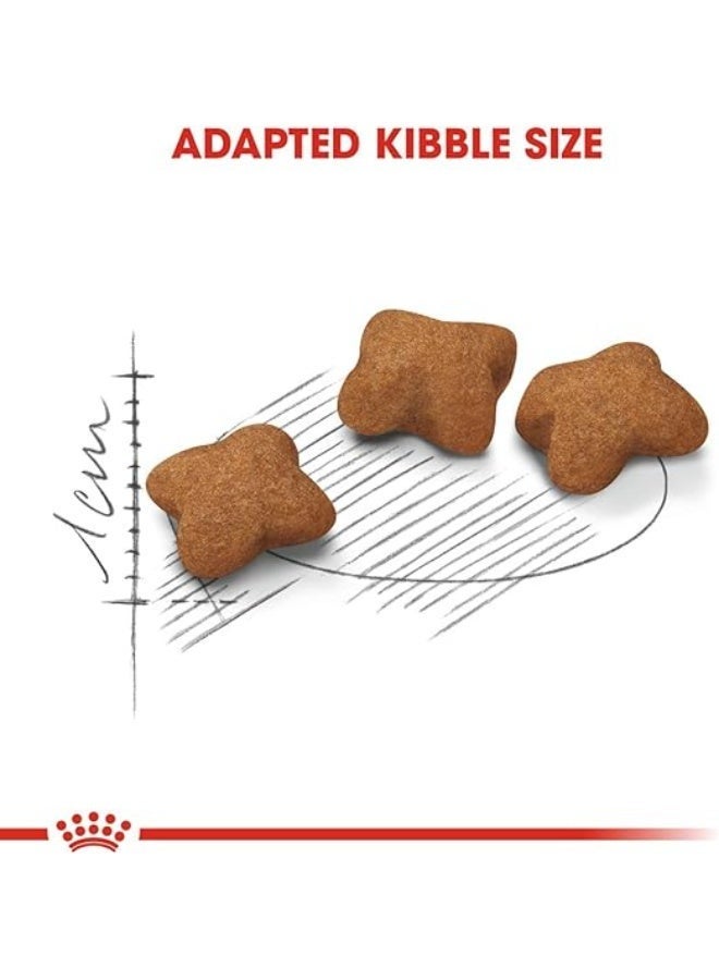 رويال كانين قطط رويال كانين معقمة من عمر 6 إلى 12 شهرًا 2kg - Image 3