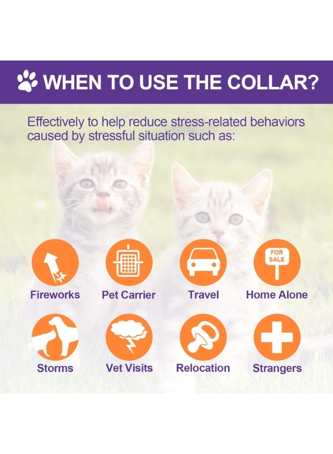 4 PCS Calming Cats Collar Adjustable Cat Calm Collar Lavender Scent Relaxing Cat Collar for Cats Reduce Stress Aggression Anxious, up to 15 Inches (Purple) - Image 4