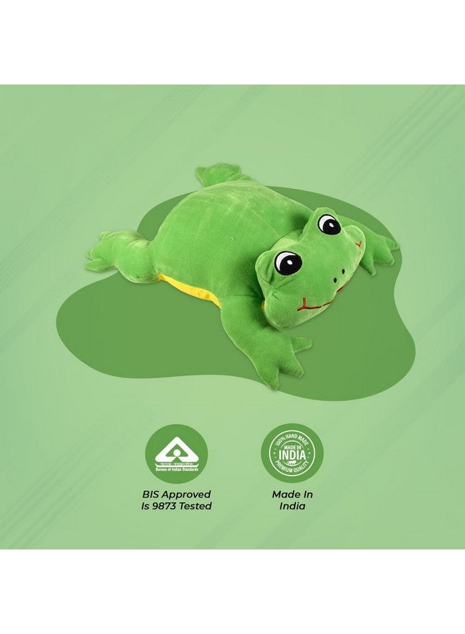 Ultra Ultra 12 inch Frog Fully Stuffed Soft Premium Plush for Kids in Green | Snuggling and Playtime | Animal Toy | Birthday Gift | Anniversary | Christmas | Diwali | Home Decor - Image 3