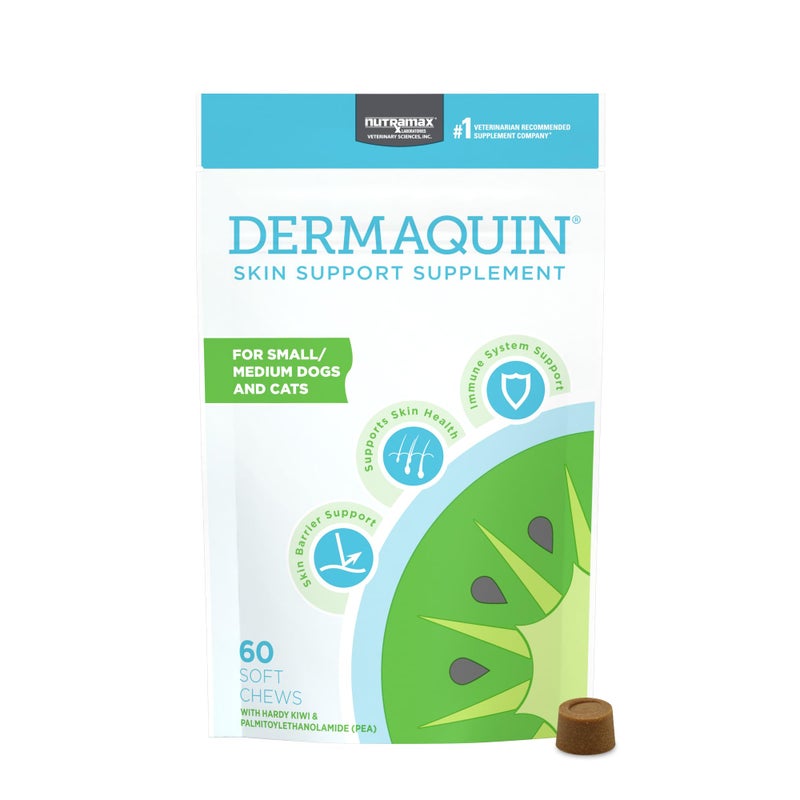 Nutramax Laboratories Nutramax Dermaquin Skin Support Supplement for Small to Medium Dogs and Cats, Supports Healthy Response to Allergens, with Hardy Kiwi, Omega-3s, and More, Tasty Soft Chews, 60 Count - Image 1