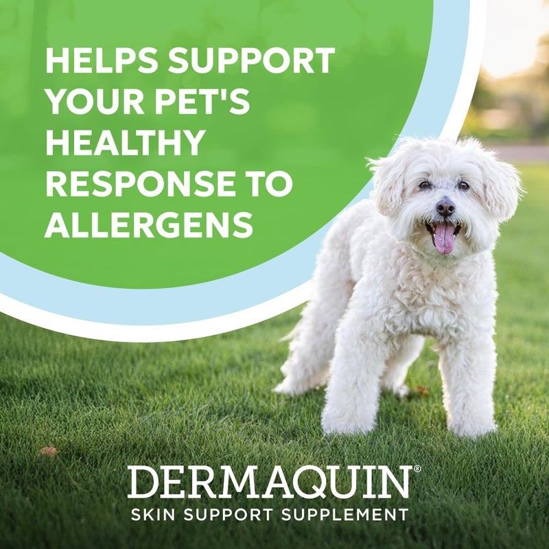 Nutramax Laboratories Nutramax Dermaquin Skin Support Supplement for Small to Medium Dogs and Cats, Supports Healthy Response to Allergens, with Hardy Kiwi, Omega-3s, and More, Tasty Soft Chews, 60 Count - Image 2