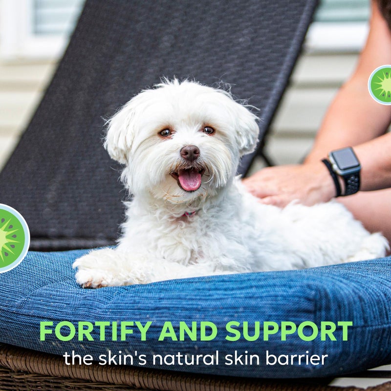 Nutramax Laboratories Nutramax Dermaquin Skin Support Supplement for Small to Medium Dogs and Cats, Supports Healthy Response to Allergens, with Hardy Kiwi, Omega-3s, and More, Tasty Soft Chews, 60 Count - Image 4