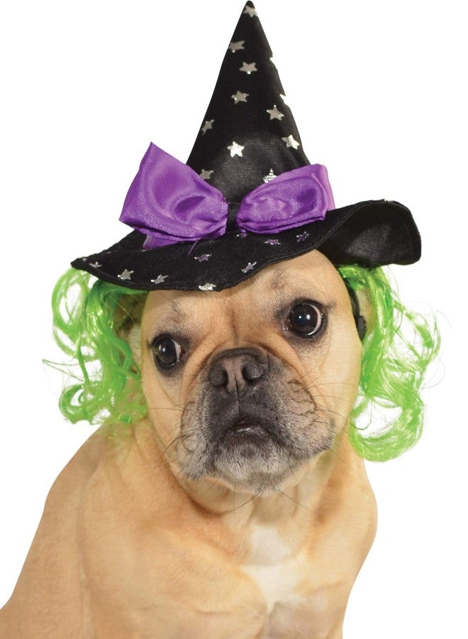 Rubies Costume Star Witch Hat with Hair Pet Accessory, Medium/Large - Image 1