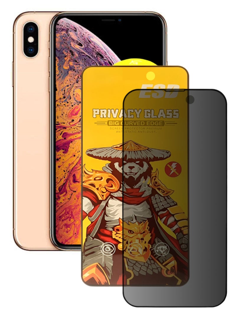 ESD Tempered Dustproof Privacy Glass Screen Protector Compatible For iPhone XS Max - Image 1
