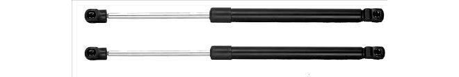 Dicky Shocker Set of 2 for Nissan Terrano (Black)