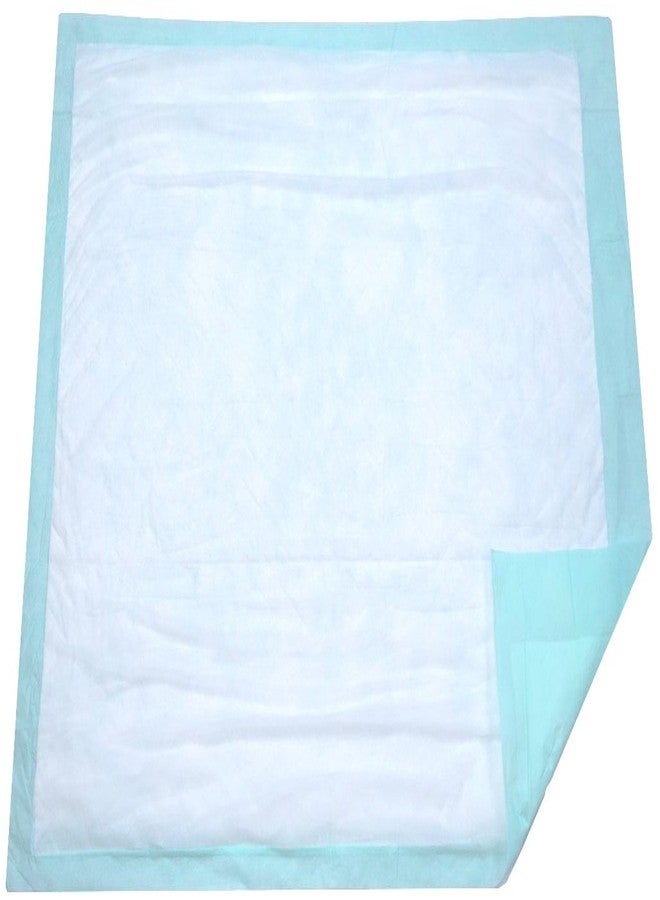 BrightCare Large Disposable Bed Pad 10 Count (Size 28Wx36L) - Bed and Chair Underpad Incontinence Protection for Adult, Child, or Pets - Absorbent Waterproof Chux - Image 1