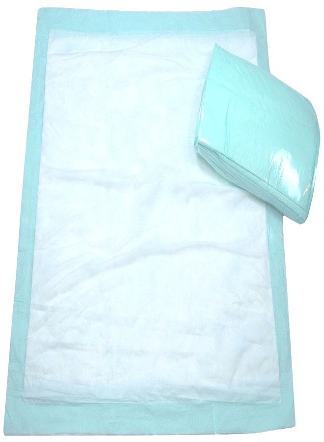 BrightCare Large Disposable Bed Pad 10 Count (Size 28Wx36L) - Bed and Chair Underpad Incontinence Protection for Adult, Child, or Pets - Absorbent Waterproof Chux - Image 2