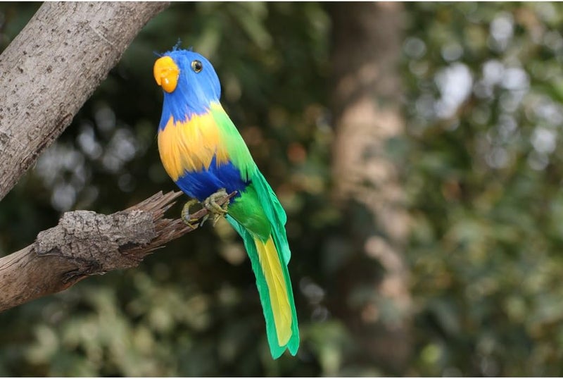 klarako Artificial Bird Feathered Realistic Garden Home Decor Ornament  Multi, Parrot #2 - Image 3