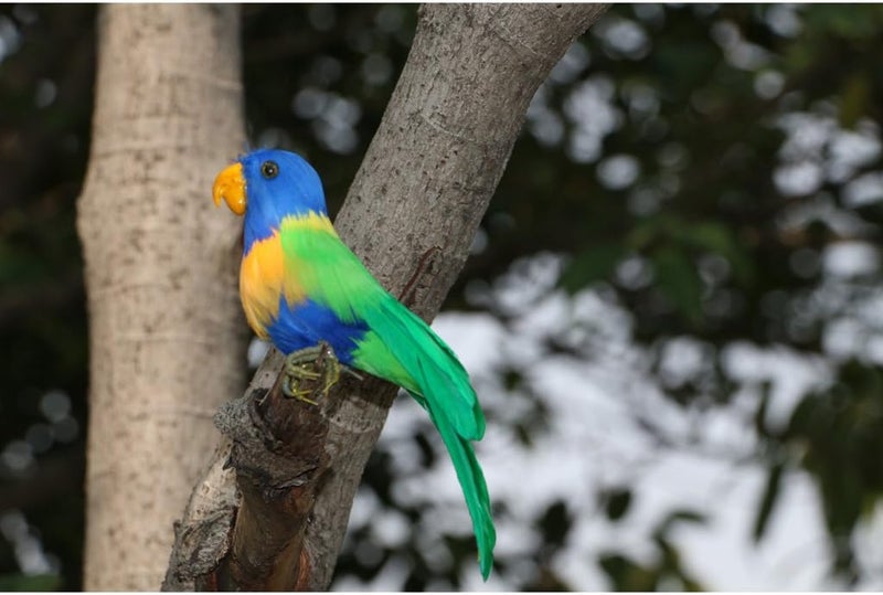 klarako Artificial Bird Feathered Realistic Garden Home Decor Ornament  Multi, Parrot #2 - Image 2