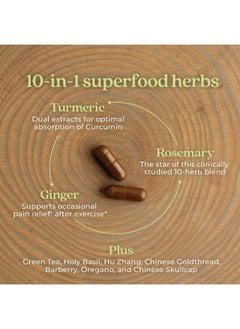 New Chapter Joint Supplement + Herbal Pain Relief - Zyflamend Whole Body For Healthy Inflammation Response - 60 Ct  - Image 3