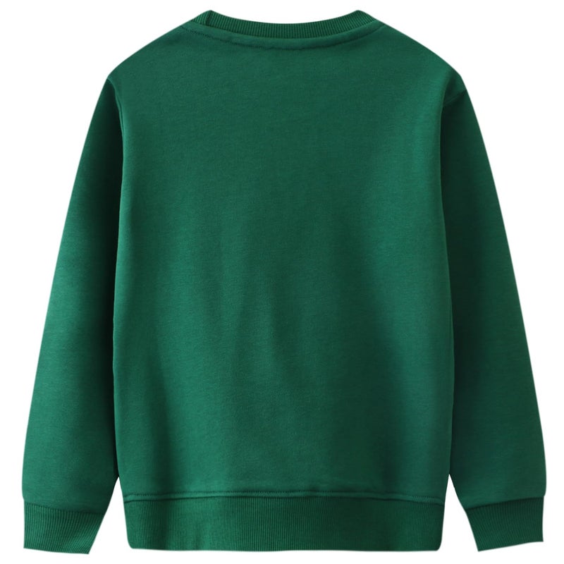 Bumeex Toddler Boy Sweatshirt Clothes Spring Fall Winter Long Sleeve Shirt Fashion Top Clothing Outfits Green Zebra 2t - Image 2