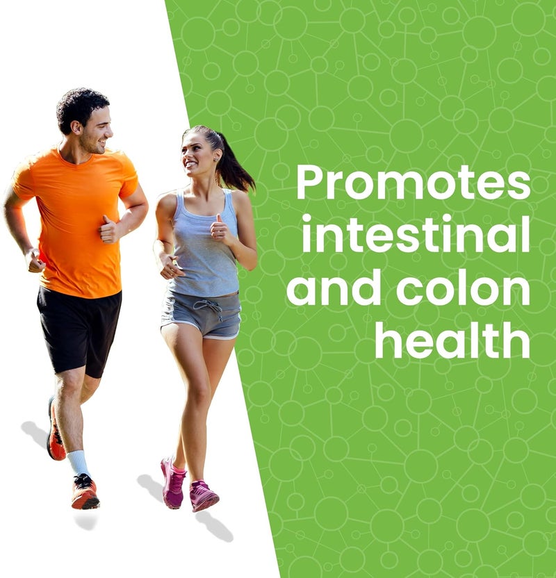 Lewis Labs Healthy Gut Prebiotic Fiber 6 Oz Prebiotic Fiber with Probiotics and Digestive Enzymes Gut Prebiotic Fiber Keto Friendly Gluten Free No MSG Vegan Healthy Gut - Image 4