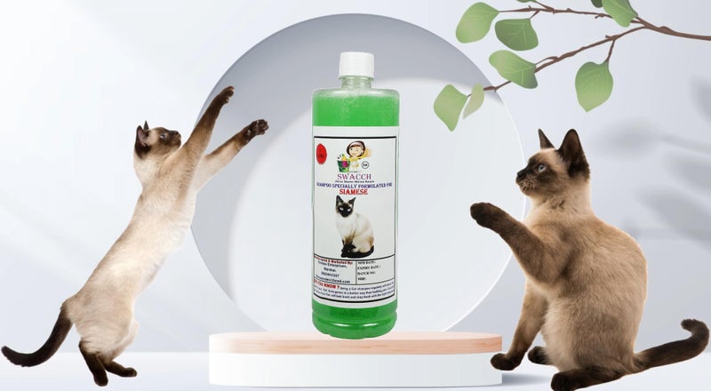 SWACCH Shampoo Specially FORMULATED for Siamese Cat (1 Litre) NEEM ALOVERA - Image 2