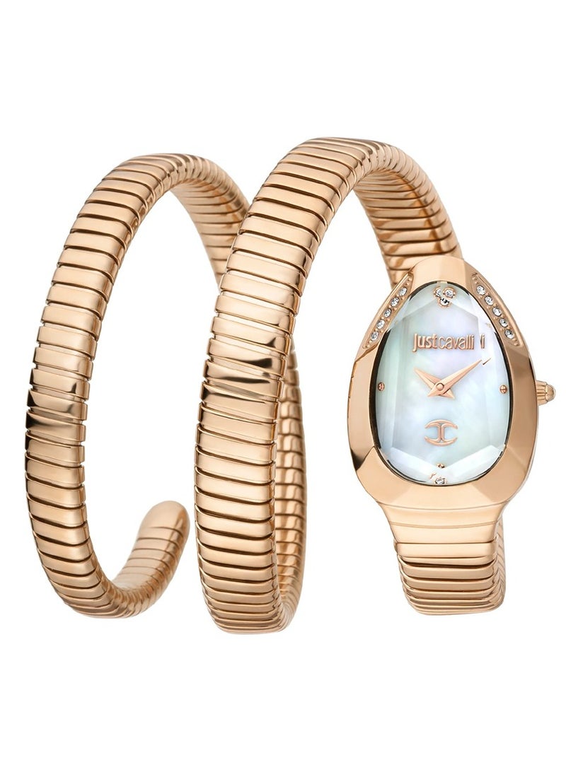 Just Cavalli ساعة يد تناظرية من الفولاذ المقاوم للصدأ JC1L209M0055 - Image 1