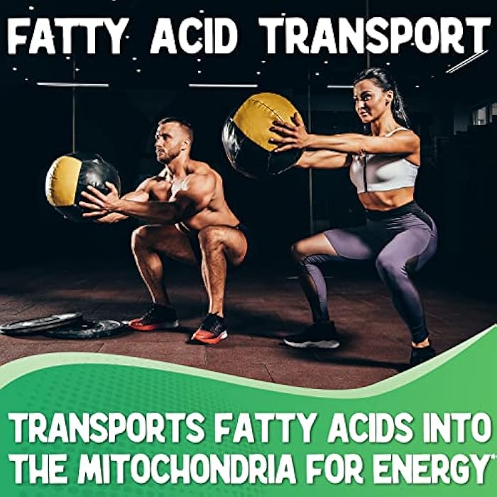 XPRS Nutra L Carnitine L Tartrate Powder - Premium Pure L Carnitine Tartrate - L-Carnitine Powder - Vegan Friendly Bulk L Carnitine - Amino Acid Supplement (16 Ounce) - Image 3