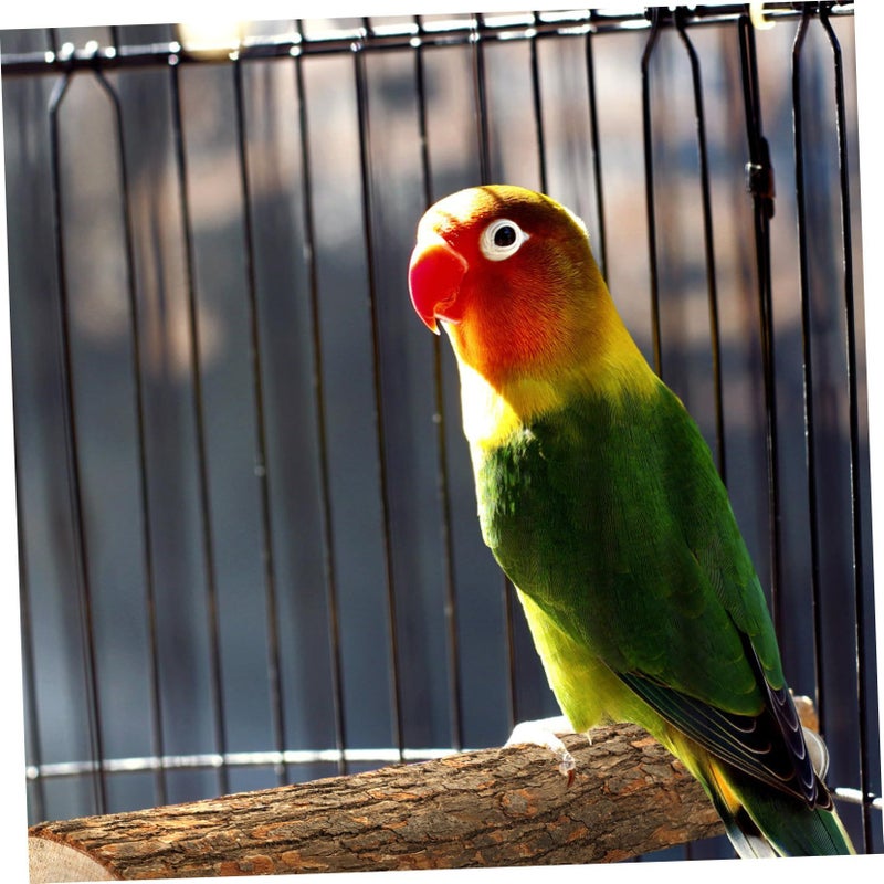 Natural Wooden Parrot Stand Platform Bird Perch Cage Toy Sturdy Wear Resistant Playground - Image 4